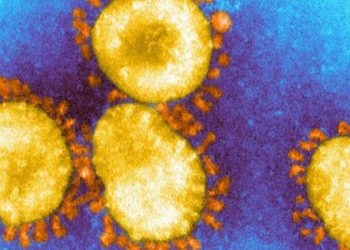 OMS alerta para disseminação de variante da Covid-19 identificada no Brasil