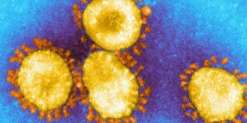 OMS alerta para disseminação de variante da Covid-19 identificada no Brasil