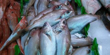 Irmãs são internadas com doença da urina preta, causada por peixe
