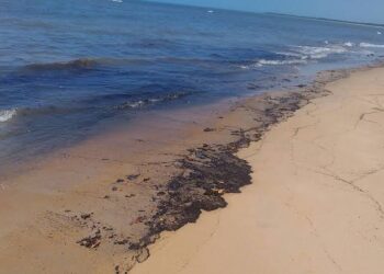Manchas de óleo voltam a aparecer no litoral baiano