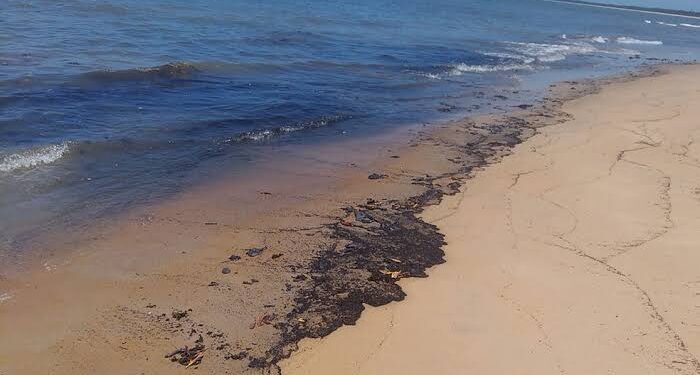 Manchas de óleo voltam a aparecer no litoral baiano