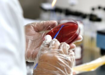 Infectologistas projetam predomínio da delta entre outubro e novembro em Salvador