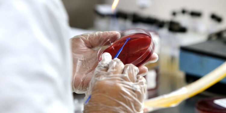 Infectologistas projetam predomínio da delta entre outubro e novembro em Salvador