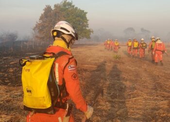Mas de 10 municípios da Bahia, tem incêndios florestais