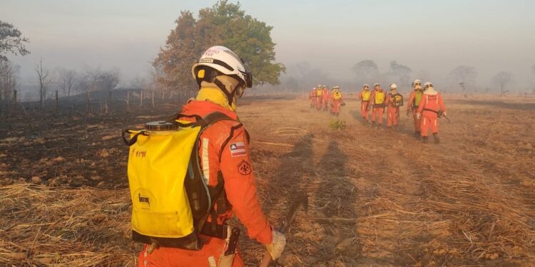 Mas de 10 municípios da Bahia, tem incêndios florestais