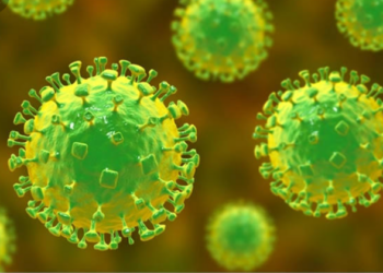 Pesquisadora Afirma Que Vírus Nipah Pode Causar Próxima Pandemia