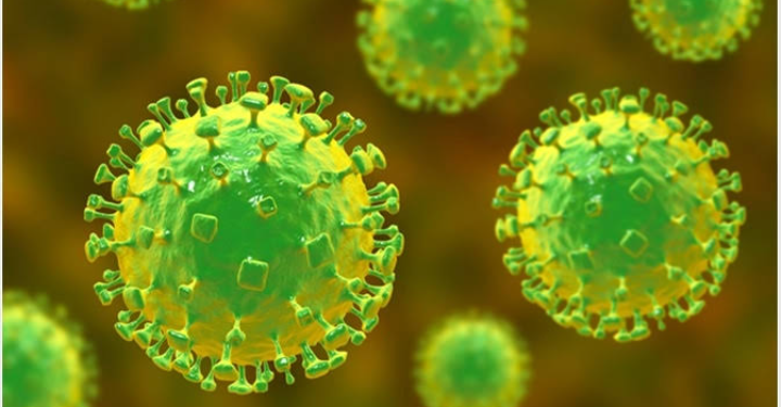 Pesquisadora Afirma Que Vírus Nipah Pode Causar Próxima Pandemia