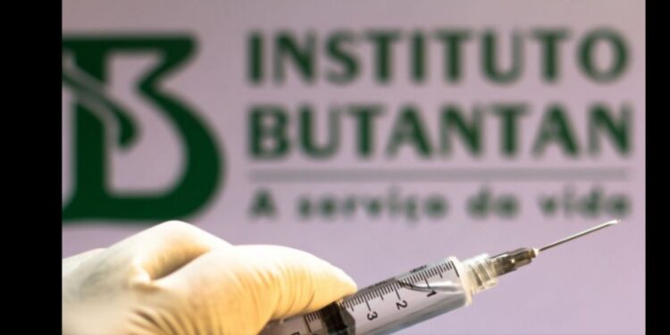 Butantan vai produzir vacina contra H3N2 em janeiro