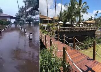 Chuva na Bahia: resort de luxo fica alagado em Ilhéus e hóspedes ilhados
