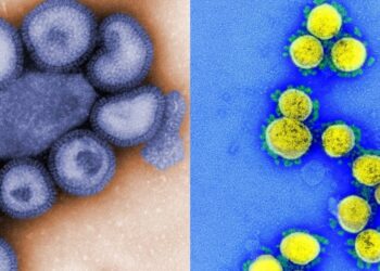 Sesab confirma oito casos de ‘flurona’ em pacientes de Salvador, Feira de Santana e Camaçari