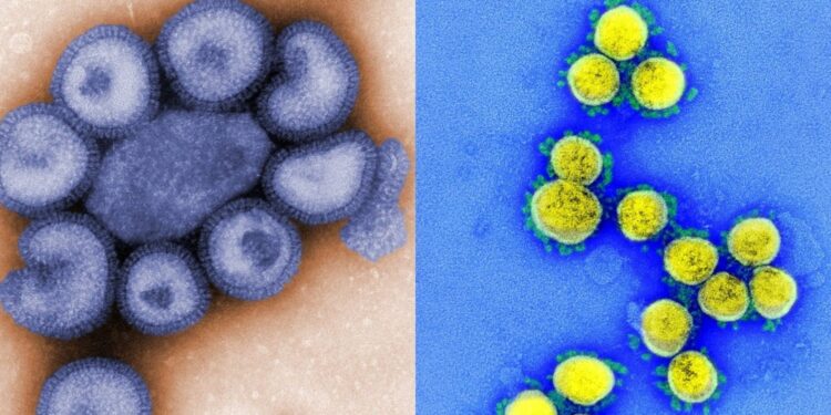 Sesab confirma oito casos de ‘flurona’ em pacientes de Salvador, Feira de Santana e Camaçari