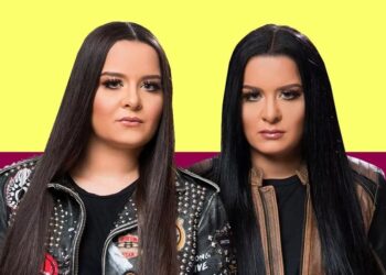 Avião com cantora Maiara bate em pássaro ao decolar e tem que fazer pouso forçado