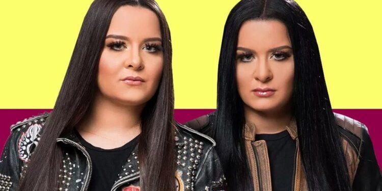 Avião com cantora Maiara bate em pássaro ao decolar e tem que fazer pouso forçado