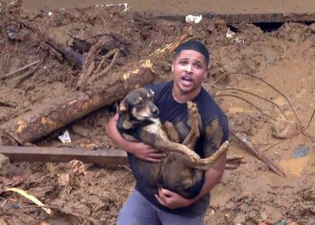 Temporal em Petrópolis deixa 44 mortos; bombeiros ainda não sabem quantos são os desaparecidos