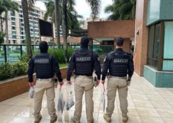 Madre de Deus: Ação é deflagrada para apurar contrato de empresa com Câmara