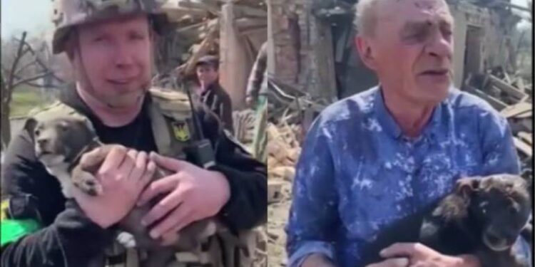 Bombeiro resgata cachorro após bombardeio na Ucrânia e o entrega a seu dono