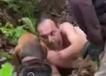 Italiano desaparecido há quatro dias é encontrado por cães no sul da Bahia