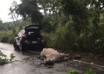 Acidente entre carro e cavalo na BA 522