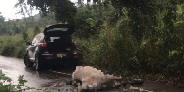 Acidente entre carro e cavalo na BA 522