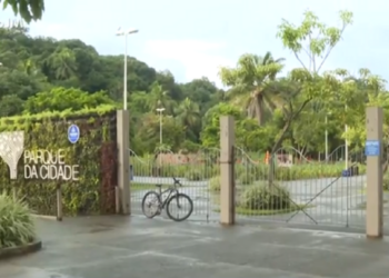 Corpo de mulher é encontrado sem cabeça no Parque da Cidade, em Salvador