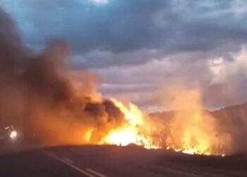 Homem morre carbonizado após sofrer acidente na BA-130