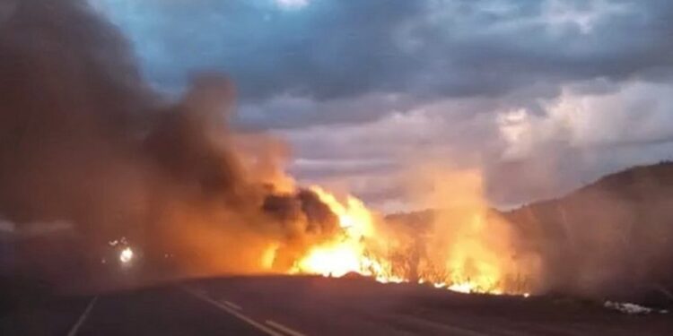 Homem morre carbonizado após sofrer acidente na BA-130