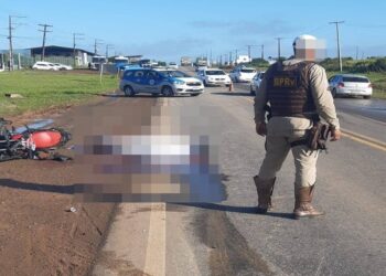 Cavalo solto na pista, causa morte na BR