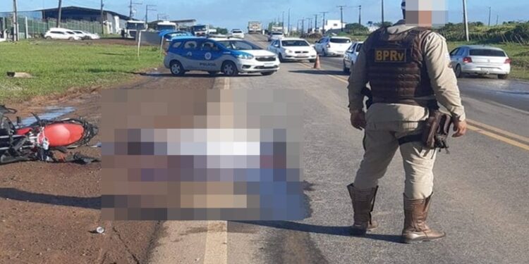 Cavalo solto na pista, causa morte na BR