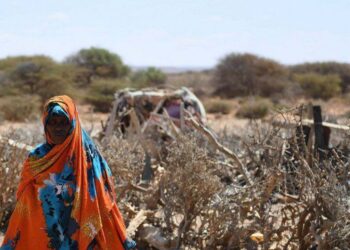 ONU alerta que 22 milhões de pessoas correm risco de morrer de fome em região do continente africano