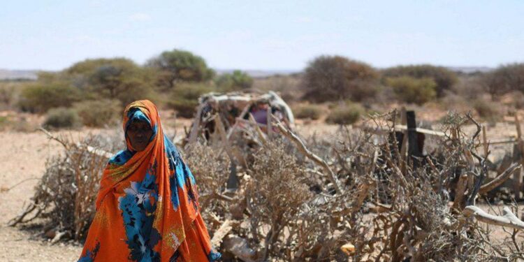 ONU alerta que 22 milhões de pessoas correm risco de morrer de fome em região do continente africano
