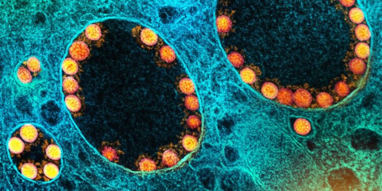 Pesquisa mostra eficácia da vitamina B12 para regular processos inflamatórios da covid-19
