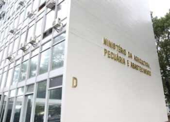 Ministério interdita fábrica de petiscos após morte de cachorros