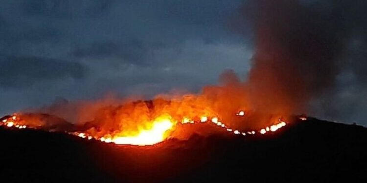 Incêndio no Vale do Capão é controlado por brigadistas e agentes do ICMBio