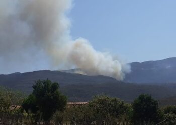 Focos de incêndio são registrados na Chapada Diamantina