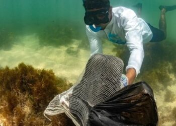 Mergulhadores retiram meia tonelada de lixo de praia da Bahia