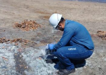 Camaçari informa que substância esverdeada é toxina natural de algas