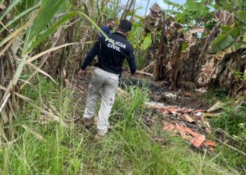 Desaparecida há três dias, mulher é encontrada morta em quintal
