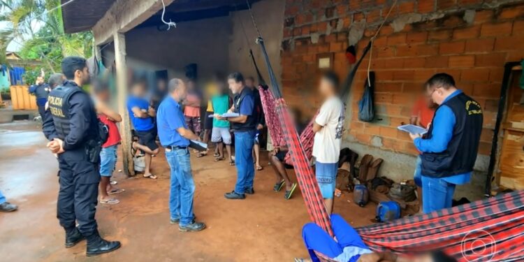 Mais de 200 trabalhadores submetidos a condições comparáveis à escravidão são resgatados em Goiás e Minas