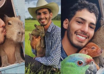 Justiça concede guarda provisória de capivara a influencer do Amazonas