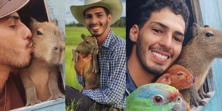 Justiça concede guarda provisória de capivara a influencer do Amazonas