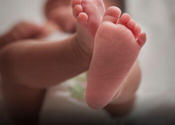 Bebê nasce com DNA de três pessoas diferentes