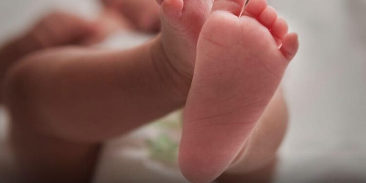 Bebê nasce com DNA de três pessoas diferentes