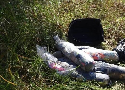 Mulher envenena, esquarteja e espalha restos mortais do marido em rodovia