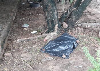 Madre de Deus: Feto é encontrado na orla da cidade