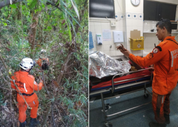 Após seis dias de busca em uma mata de difícil acesso, mulher é encontrada desnutrida e com hipotermia pelos bombeiros