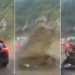 Rochas despencam e atingem carros, em rodovia e deixa mortos e feridos