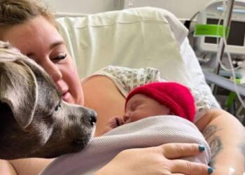 Em hospital mulher autista dá à luz, acompanhada de seu cachorro