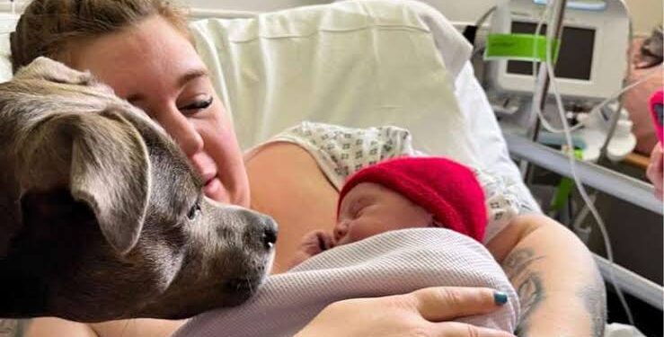 Em hospital mulher autista dá à luz, acompanhada de seu cachorro