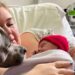 Em hospital mulher autista dá à luz, acompanhada de seu cachorro