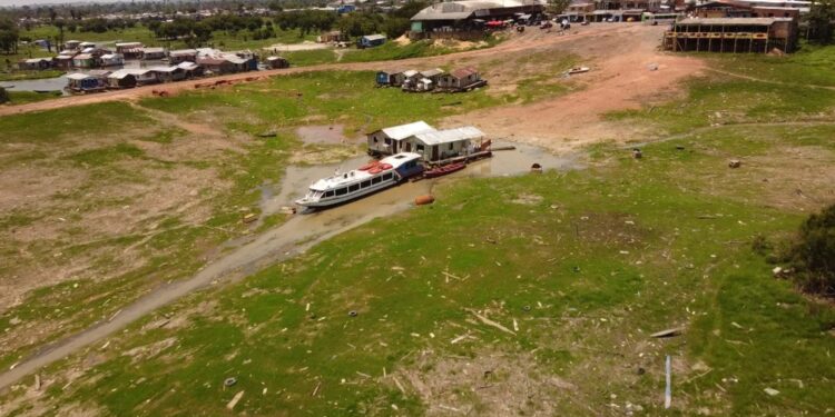 Mais da metade das cidades do Amazonas entram em situação de emergência devido à seca severa